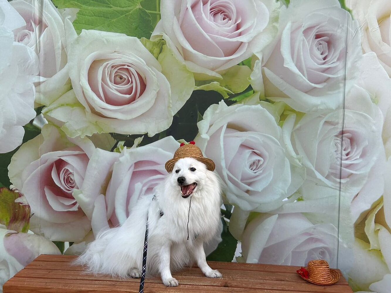 画像13458