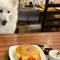 画像13463