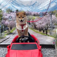 画像13482