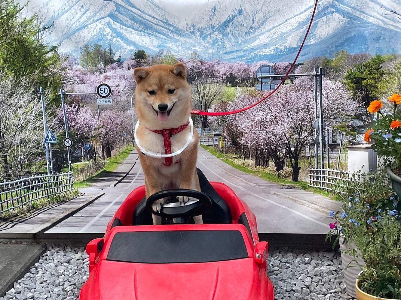 画像13482
