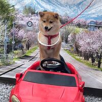 画像13483