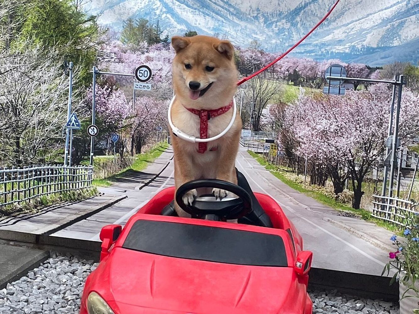 画像13483