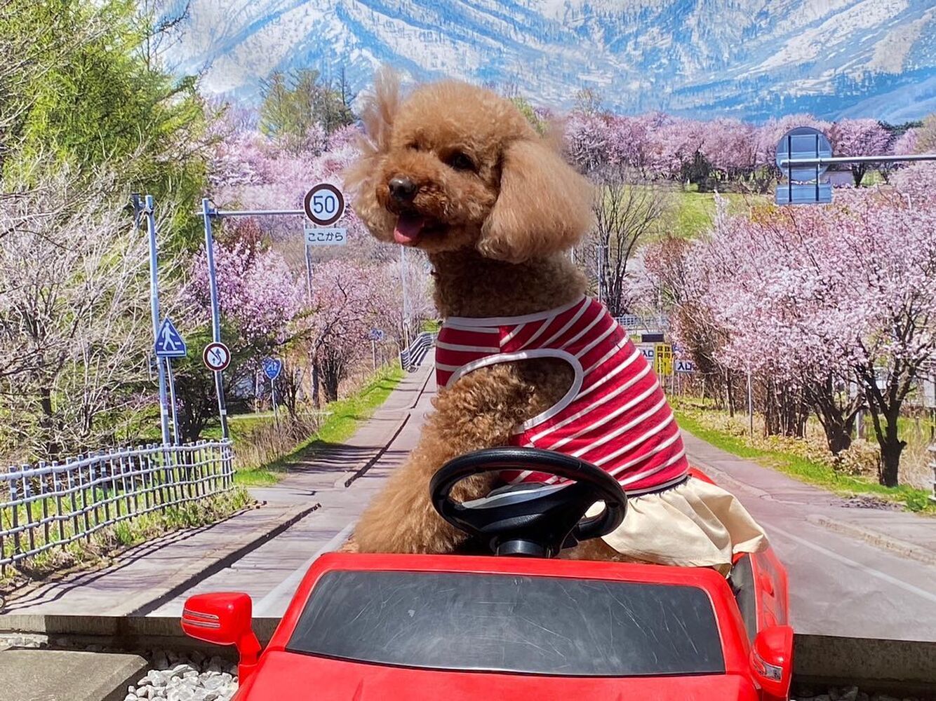 画像13546