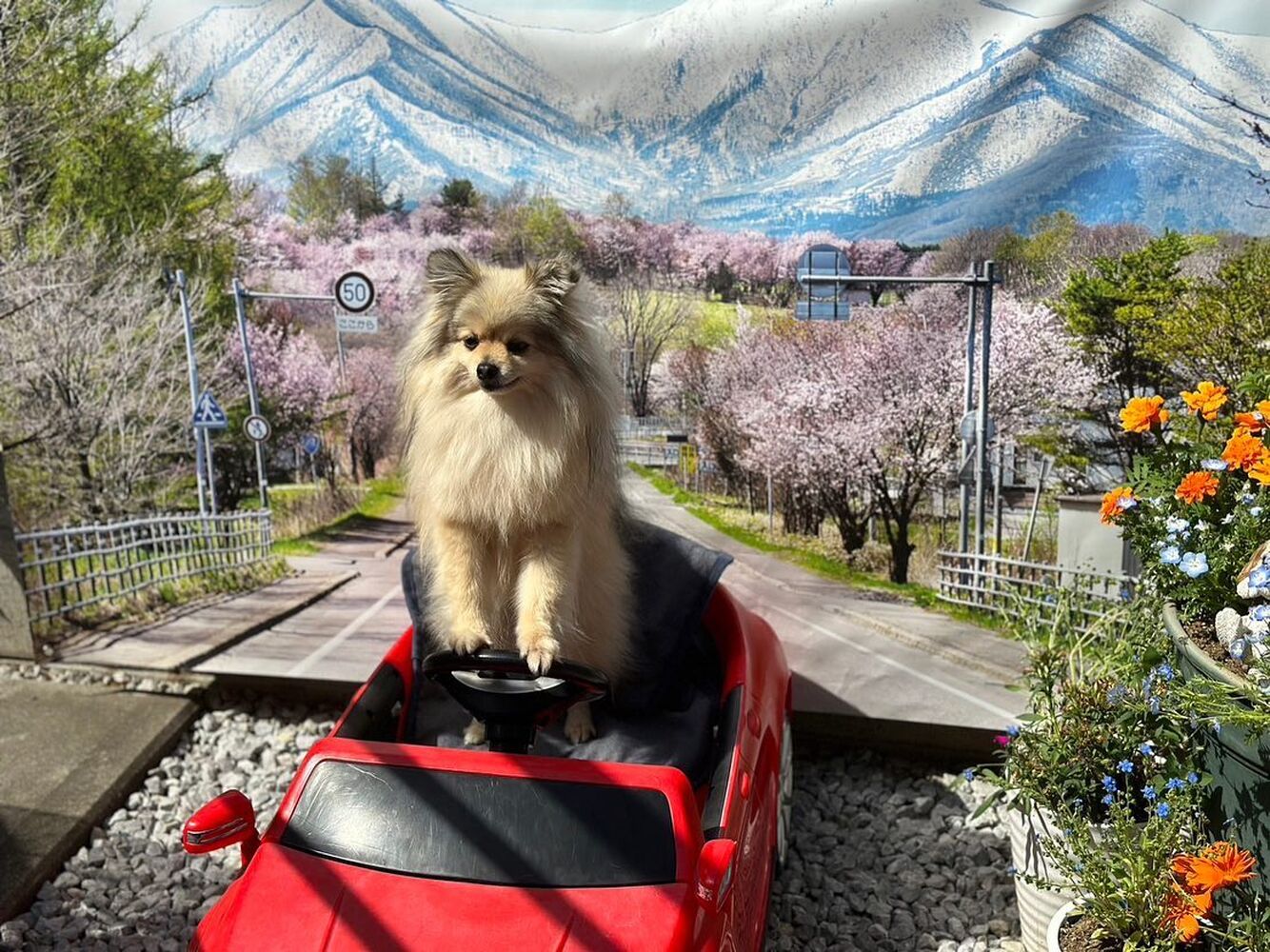 画像13588