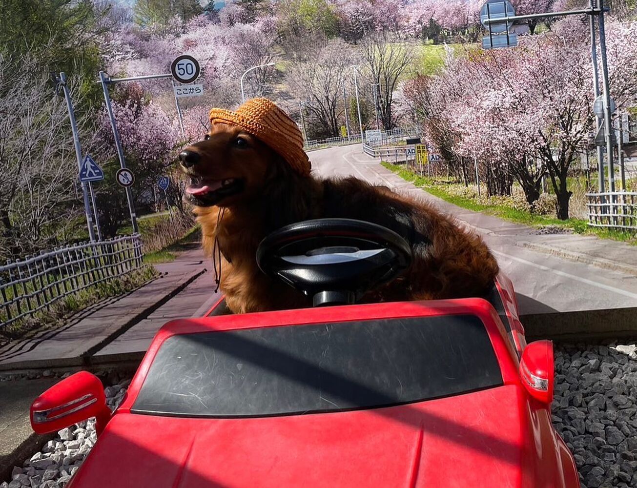 画像13624