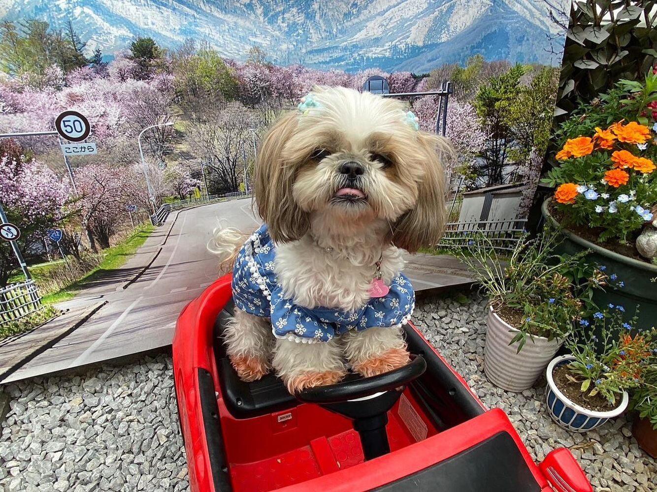 画像13692