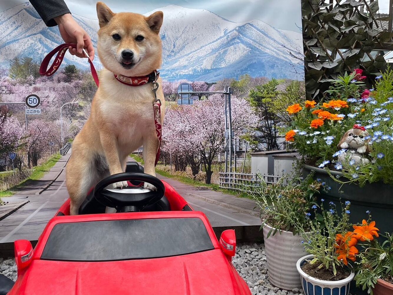 画像13715