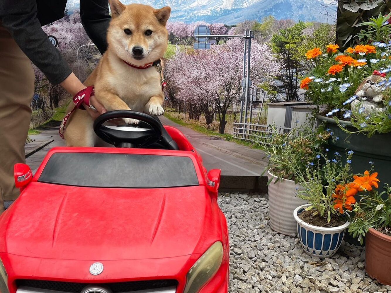 画像13716