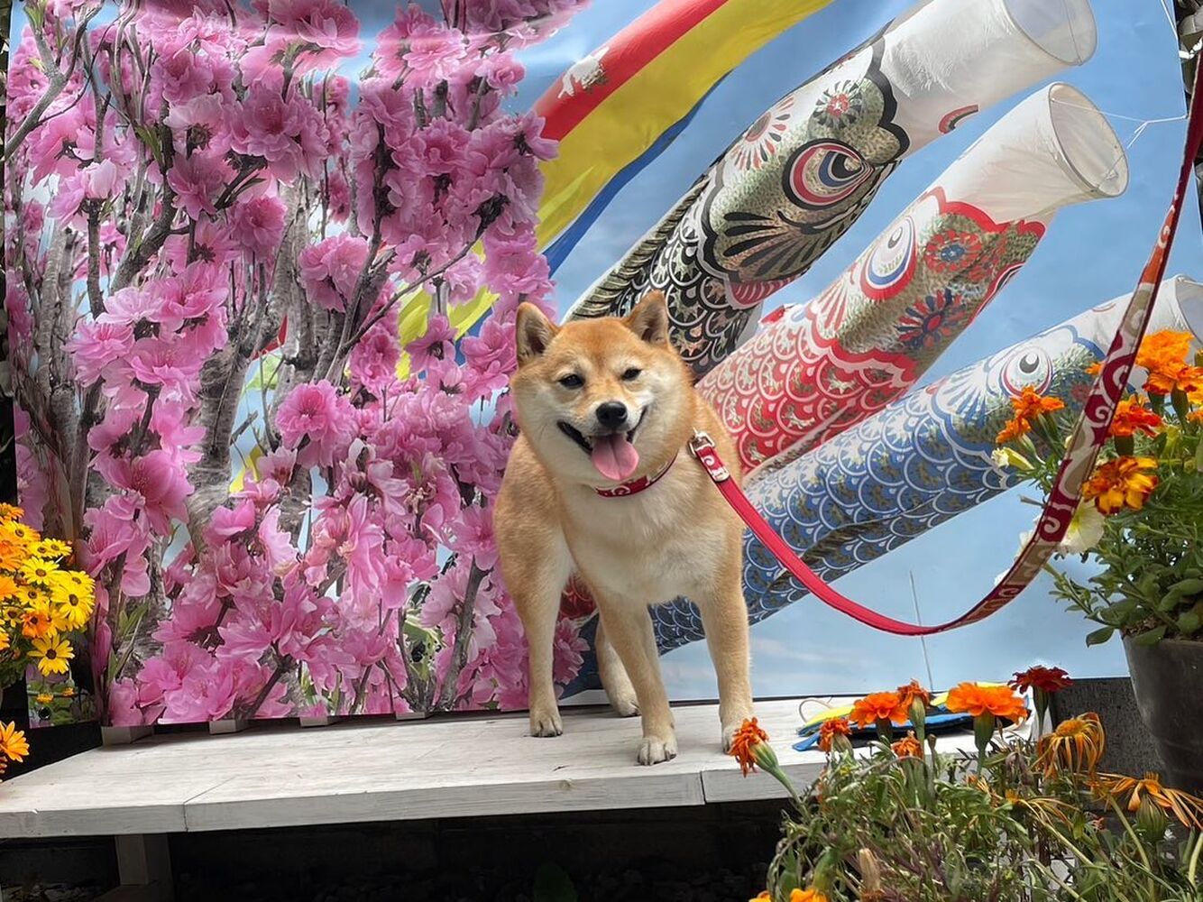 画像13719