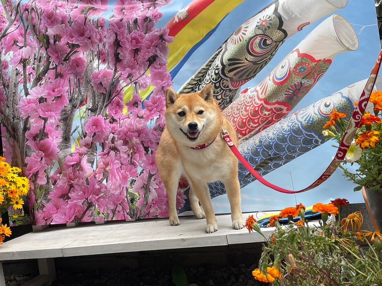 画像13720