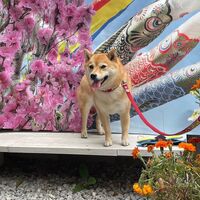 画像13721