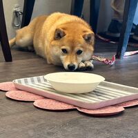 画像13722