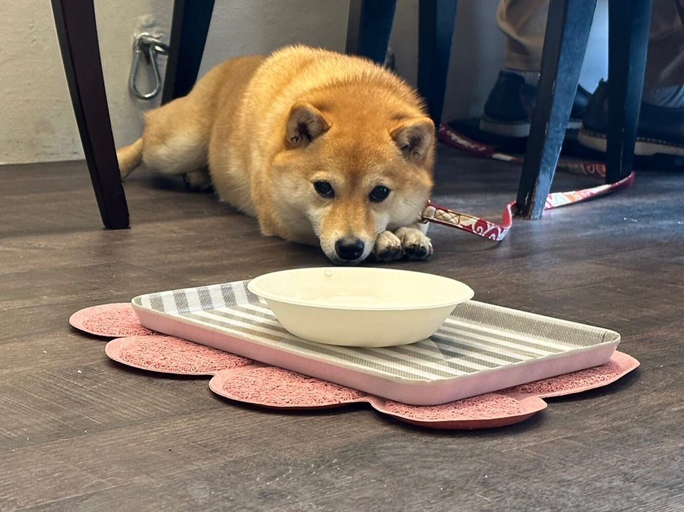 画像13722