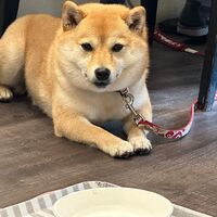 画像13723