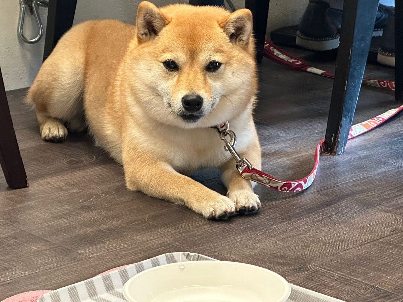 画像13723