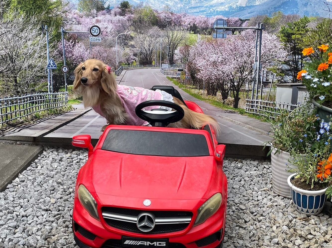 画像13749