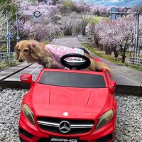 画像13761