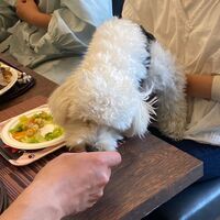 画像13772