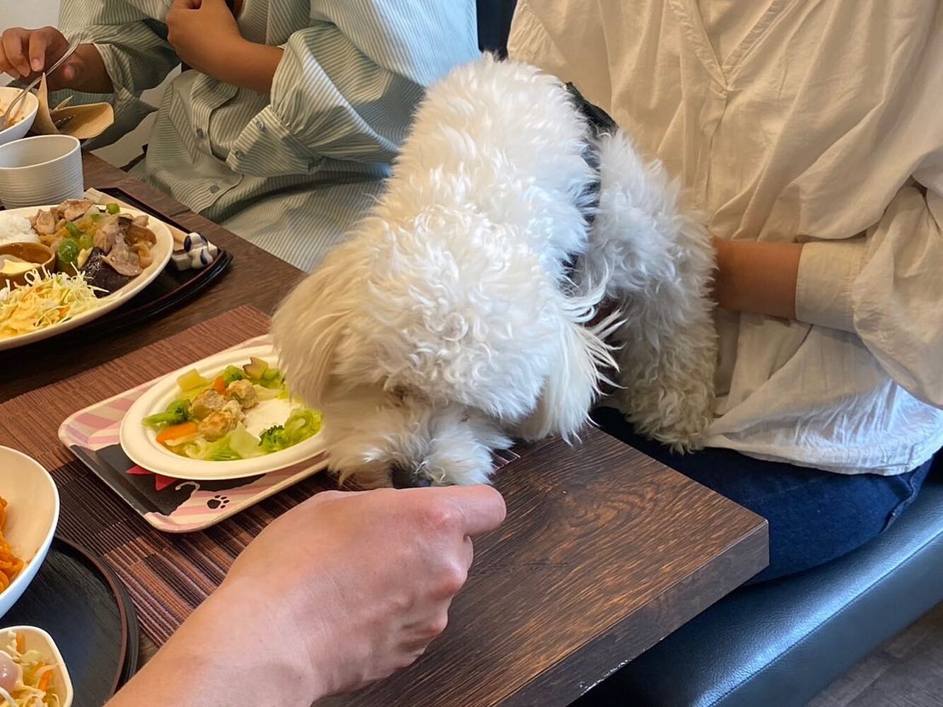 画像13772