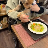 画像13793