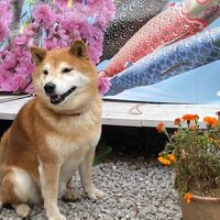 画像13796