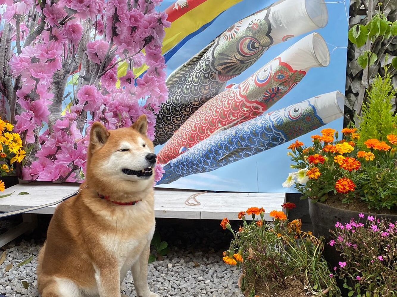 画像13797