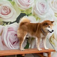 画像13801