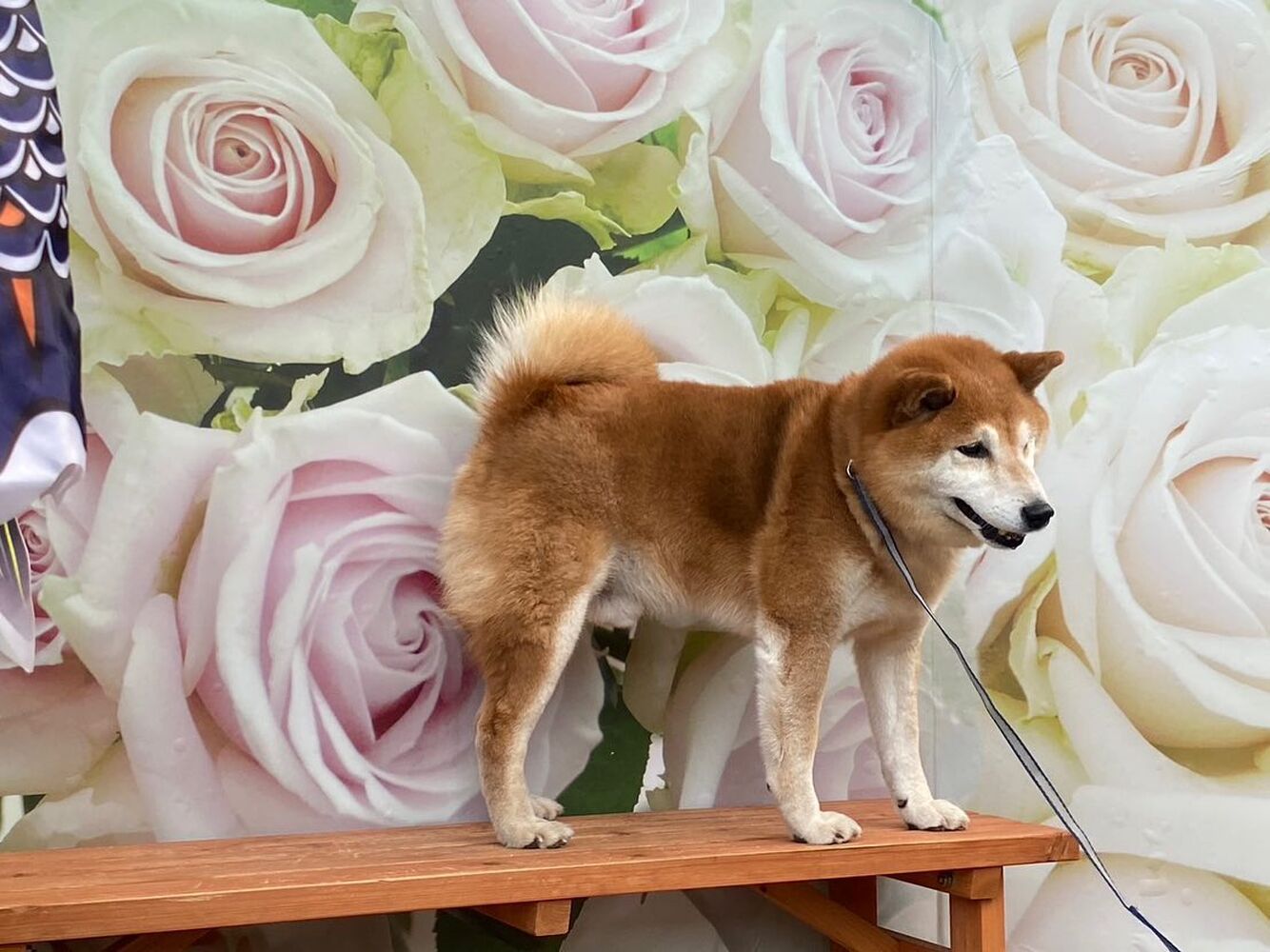 画像13801