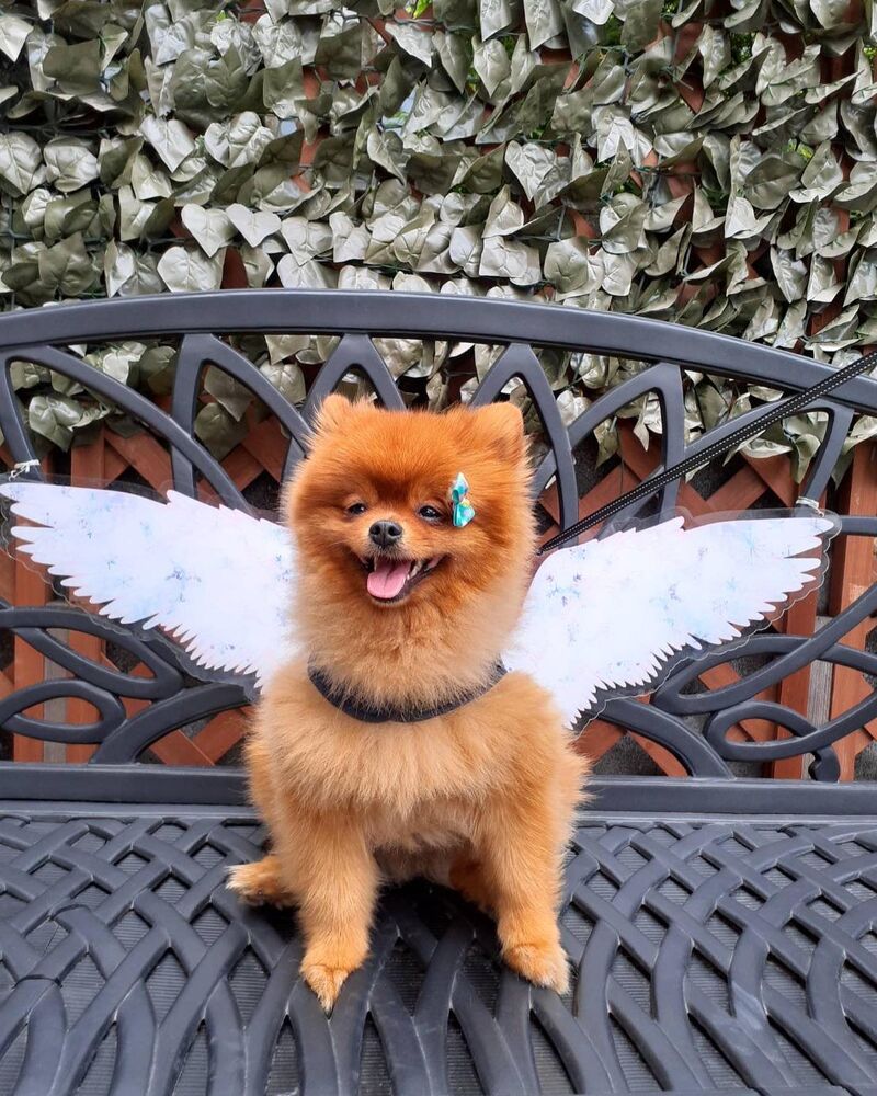 画像13879