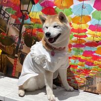 画像13951