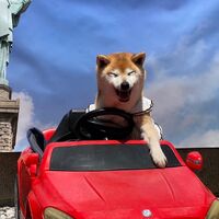 画像13954