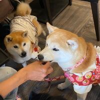 画像13958