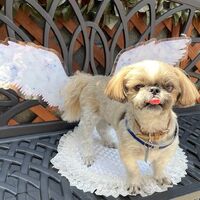 画像14016