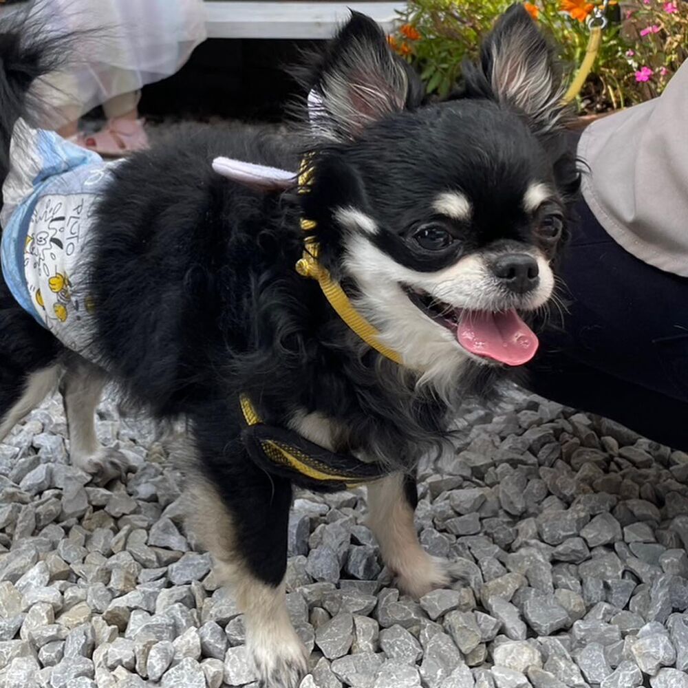 画像14033