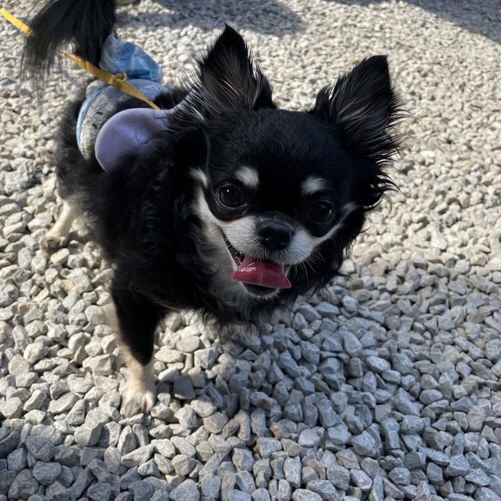 画像14034