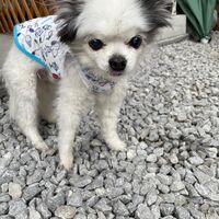 画像14072