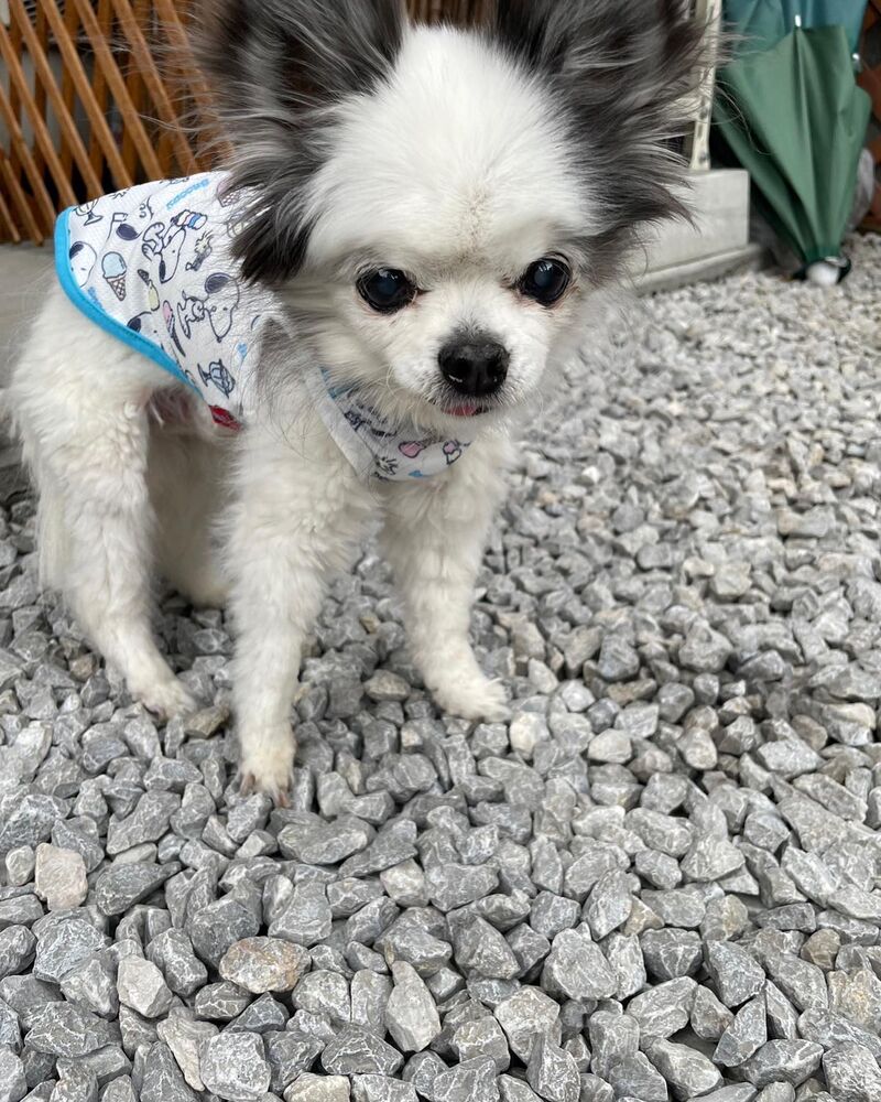 画像14072