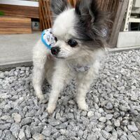 画像14073
