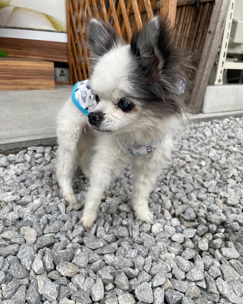 画像14073
