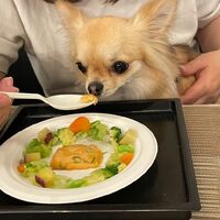 画像14093