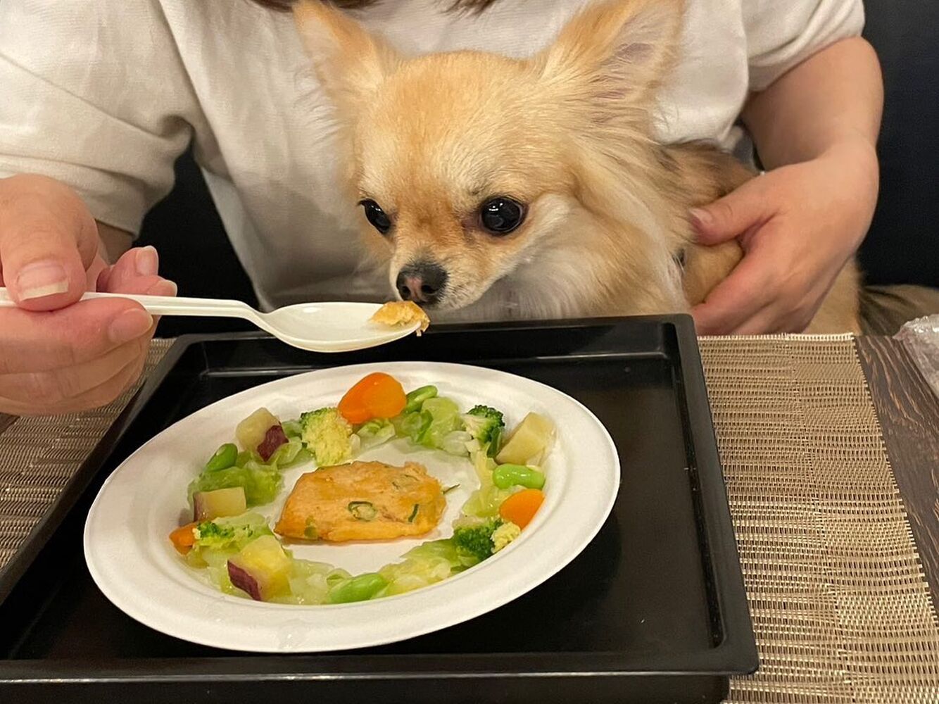 画像14093