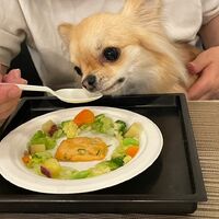 画像14094