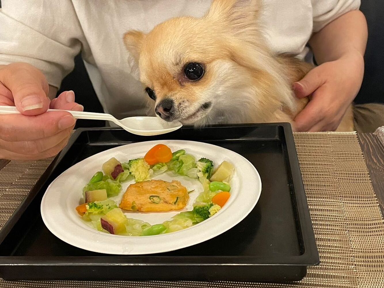 画像14094