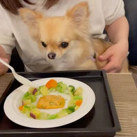 画像14095