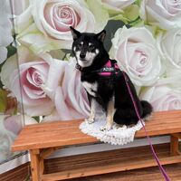 画像14097