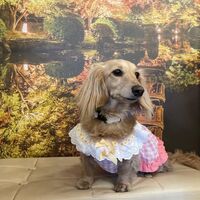 画像14138