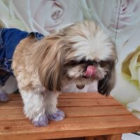 画像14207