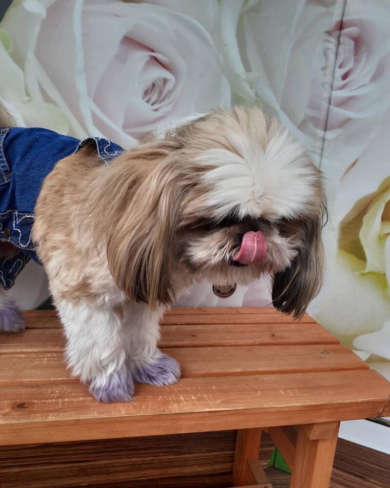 画像14207