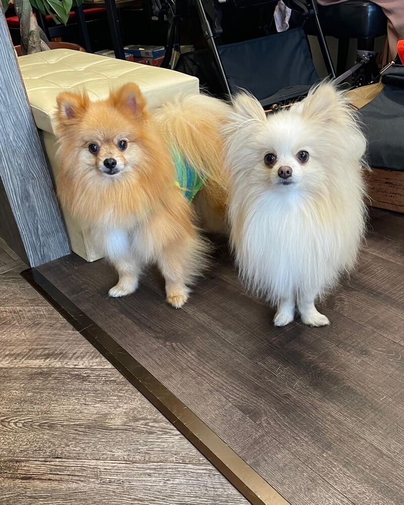 画像14234