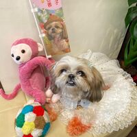 画像14288